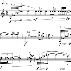 Capriccio for Violin Solo